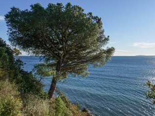 Villa La Croix-Valmer Ambiente 38