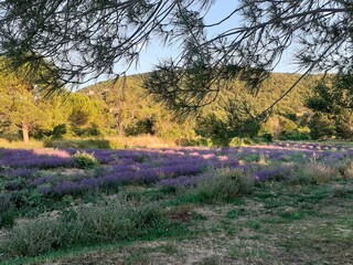 Holiday apartment Apt Outdoor Recording 7