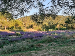 Vakantieappartement Apt Buitenaudio-opname 7