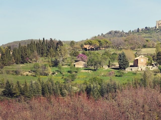 Vakantieappartement Apt Omgeving 17