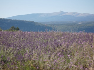 Vakantieappartement Apt Omgeving 16