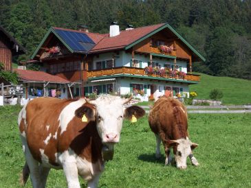 Ferienwohnung Staufenblick Dachstudio im Haus "Beim Vorderpommer"