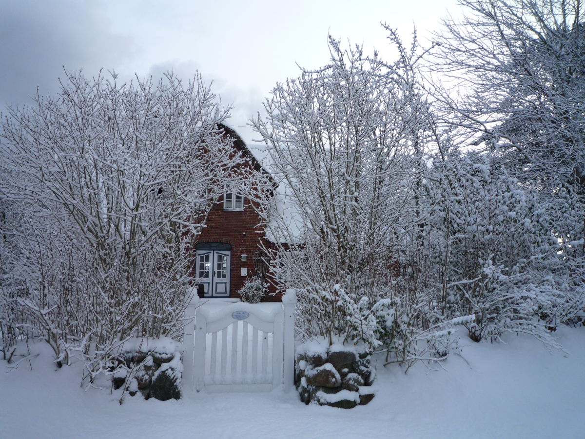 Ferienhaus Wittdün Umgebung 26