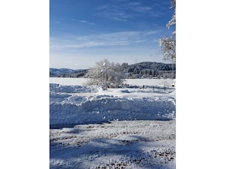 Winter am See