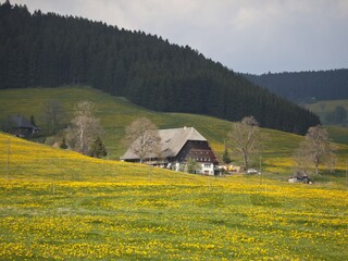 typischer Schwarzwaldhof