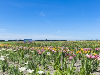 Casa per le vacanze Meliskerke Ambiente 27