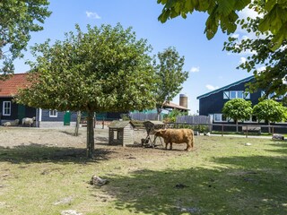 Vakantiehuis Meliskerke  31