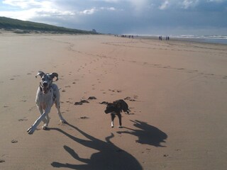 Chalet Noordwijk Ambiente 16