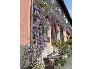 Haus Hofseite Frühjahr