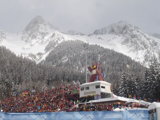 Appartamento per vacanze Niederrasen Ambiente 19