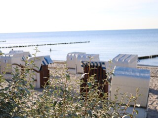 Blick auf den Strand