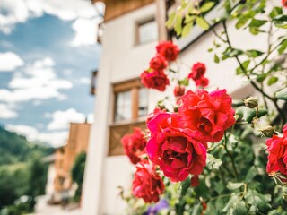 Appartamento per vacanze Wengen (Südtirol) Registrazione all'aperto 3