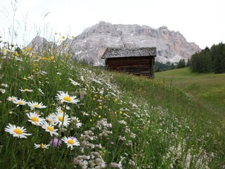 Vakantieappartement Wengen (Südtirol) Omgeving 25