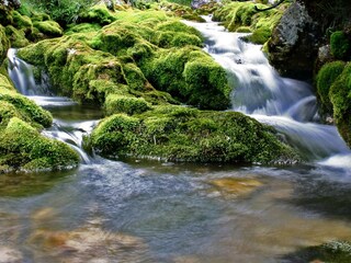 Vakantieappartement Wengen (Südtirol) Omgeving 29