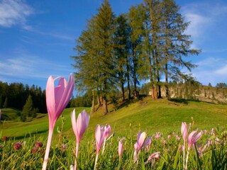 Vakantieappartement Wengen (Südtirol) Omgeving 30