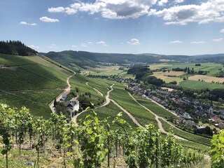 Holiday house Ockfen Environment 15