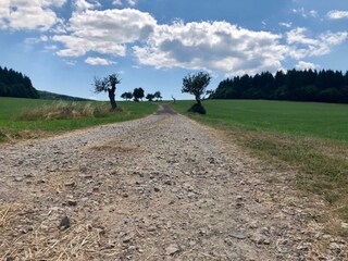 Holiday house Ockfen Environment 19