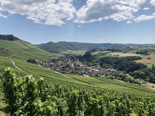 Holiday house Ockfen Environment 14