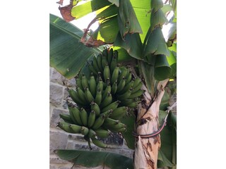 Villa Kamilari Buitenaudio-opname 13