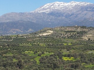 Villa Kamilari Ambiente 32