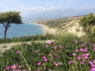 Blick auf den Komos Strand