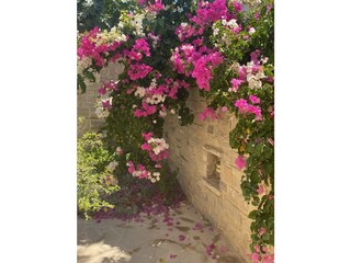 Villa Kamilari Enregistrement extérieur 18