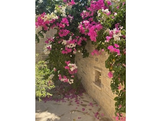 Villa Kamilari Grabación al aire libre 18