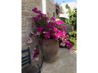 Villa Kamilari Registrazione all'aperto 9