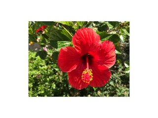 Villa Kamilari Buitenaudio-opname 12