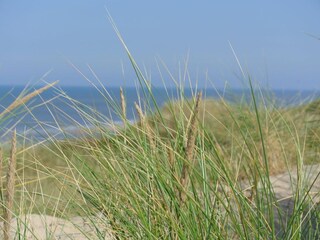 The North Sea