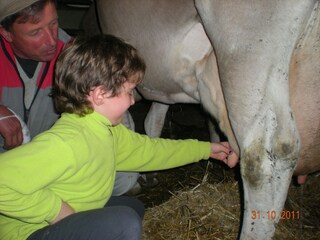 Vakantieappartement Brixen Omgeving 38