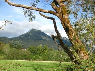 Die Leitzach und der Breitenstein