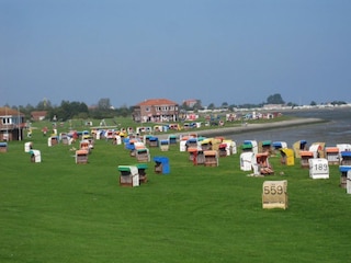 der Strand