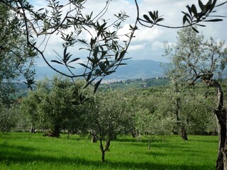 Appartamento per vacanze Impruneta Ambiente 21