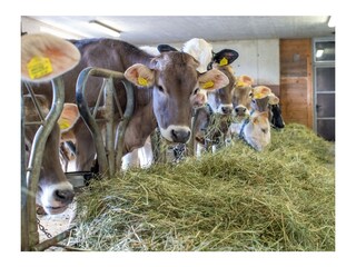 Vakantieappartement Mals Buitenaudio-opname 10