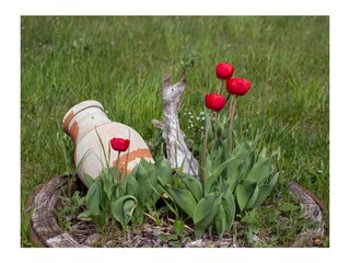 Vakantieappartement Mals Buitenaudio-opname 14