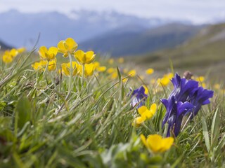 Appartamento per vacanze Mals Ambiente 33