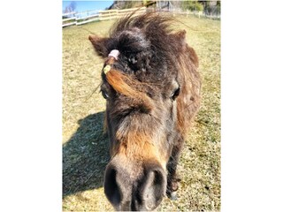 Vakantieappartement Mals Buitenaudio-opname 15