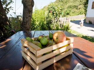 Appartamento per vacanze Völs am Schlern Ambiente 15