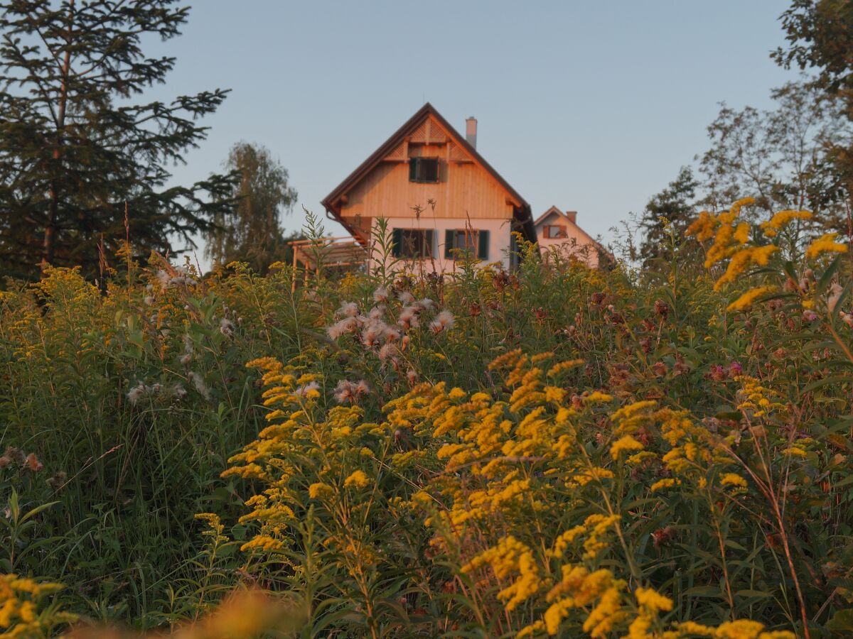 Ferienhaus Am Hamerlberg