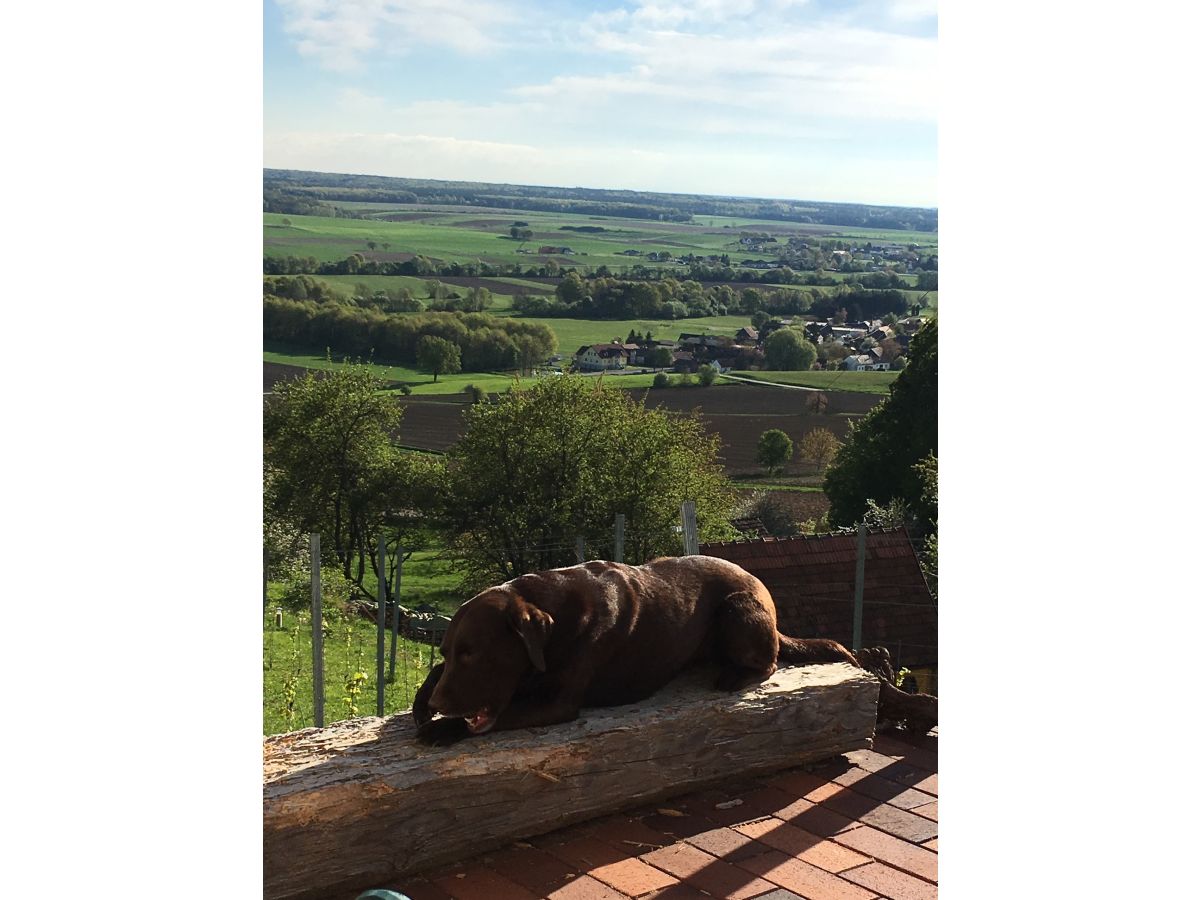 Ferienhaus Am Hamerlberg Aussicht