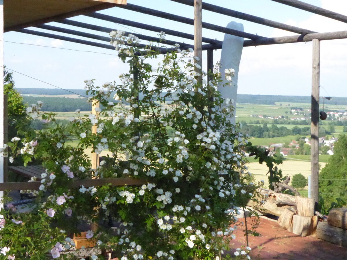 Ferienhaus am Hamerlberg - Kellerstöckl