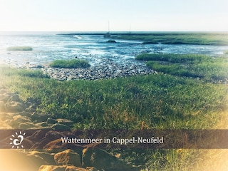 Ferienwohnung Dorum-Neufeld Außenaufnahme 19