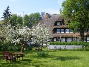 Ferienwohnung Studio Hecht im Haus Fischer Fritz - Ahrenshoop - image1