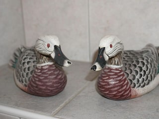 Ferienwohnung Ahrenshoop  15