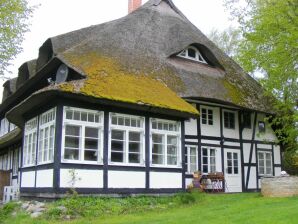 Ferienwohnung Dorsch im Haus Fischer Fritz - Ahrenshoop - image1