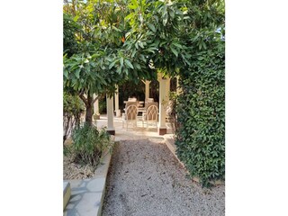 Tenuta Denia Registrazione all'aperto 14