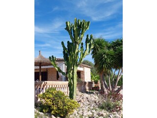 Finca Cala Mendia Omgeving 32