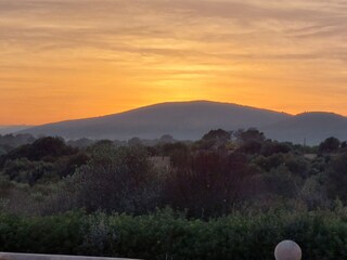 Finca Cala Mendia Buitenaudio-opname 16