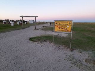 Weg zu den Dünen und zum Strand/Wattenmeer